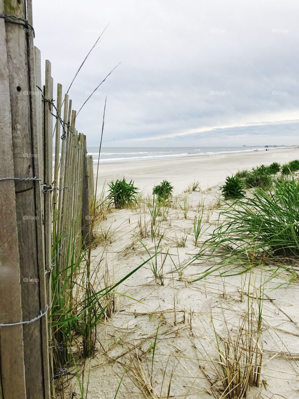 Beach dunes by a fence