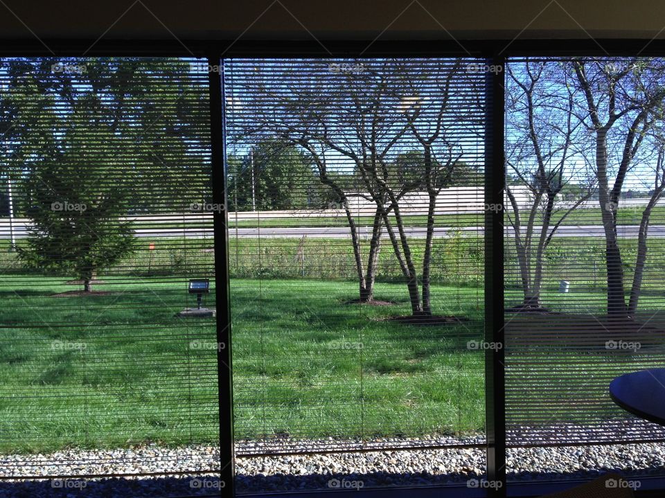 The view outside from inside an office building