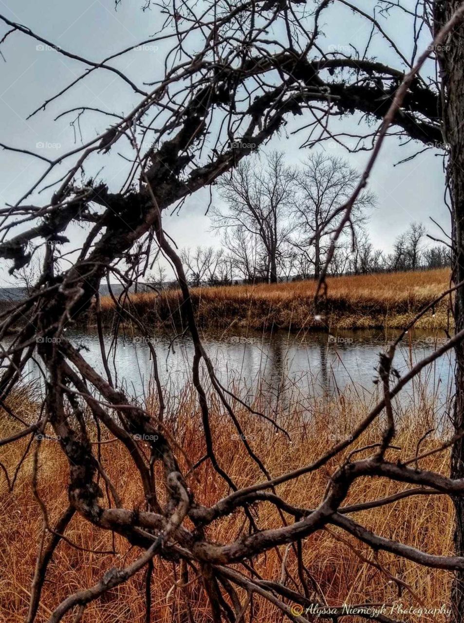 Beautiful winter skies reflected through a tree branch. "Take Time To Enjoy Mother Nature".