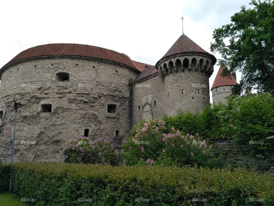 Castle, Architecture, Gothic, Tower, Fortification