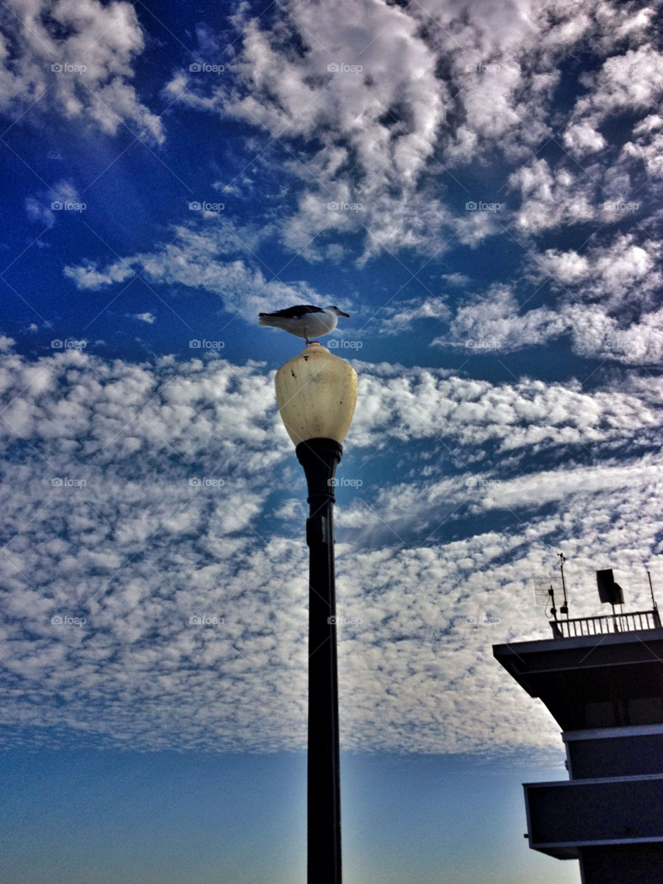 beach ocean sky light by analia