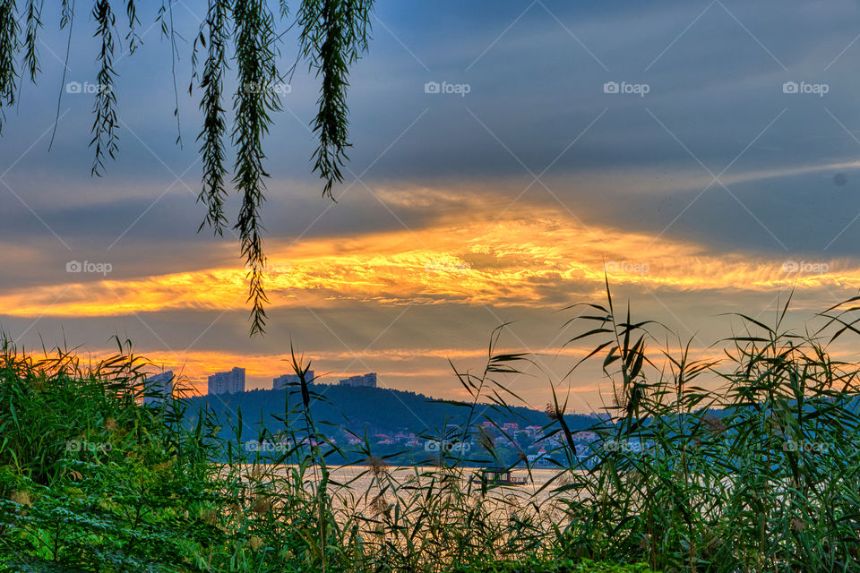 A beautiful sunset through the green leaves