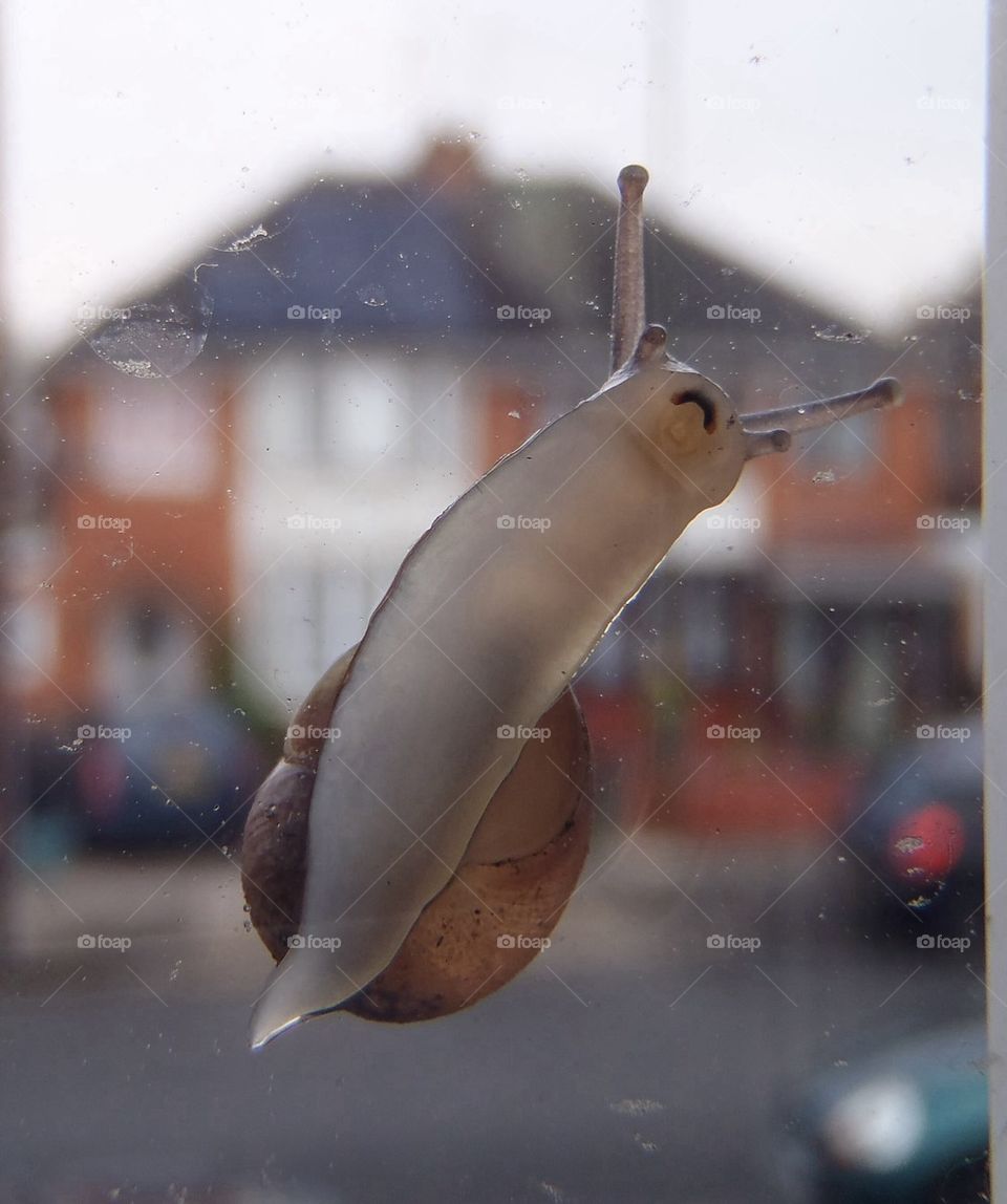 On my window