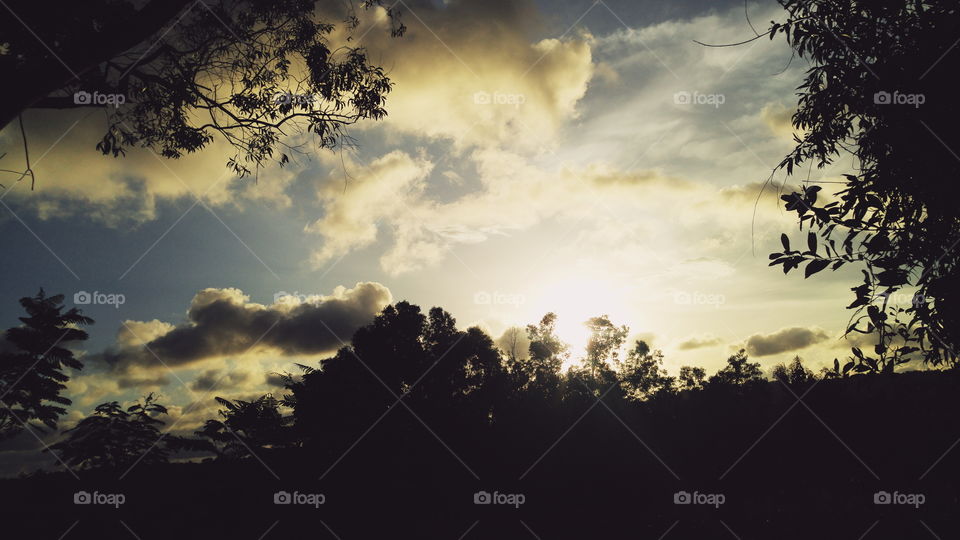 Sunset, Silhouette, Tree, Sky, Landscape