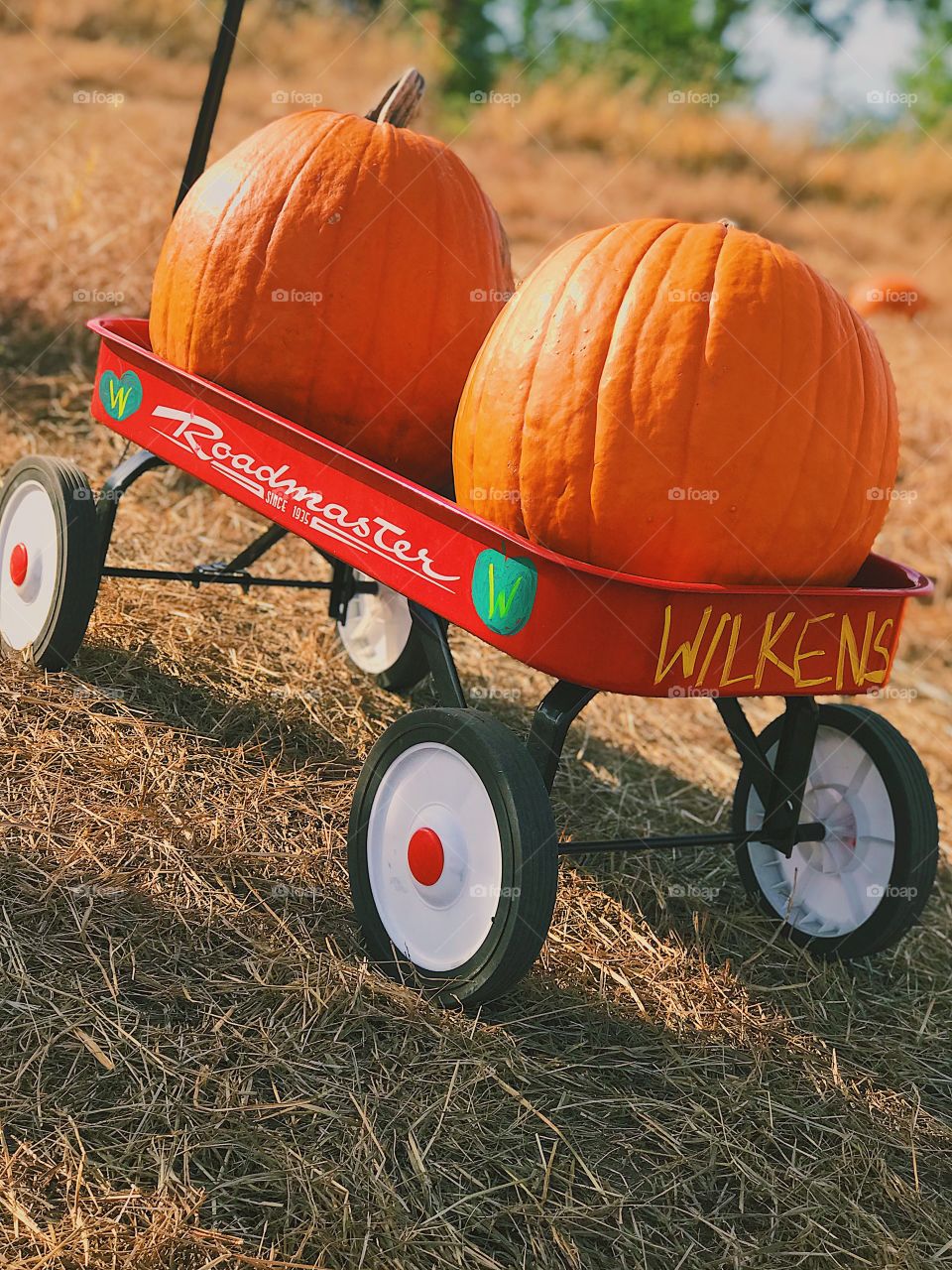 Two pumpkins in a red wagon