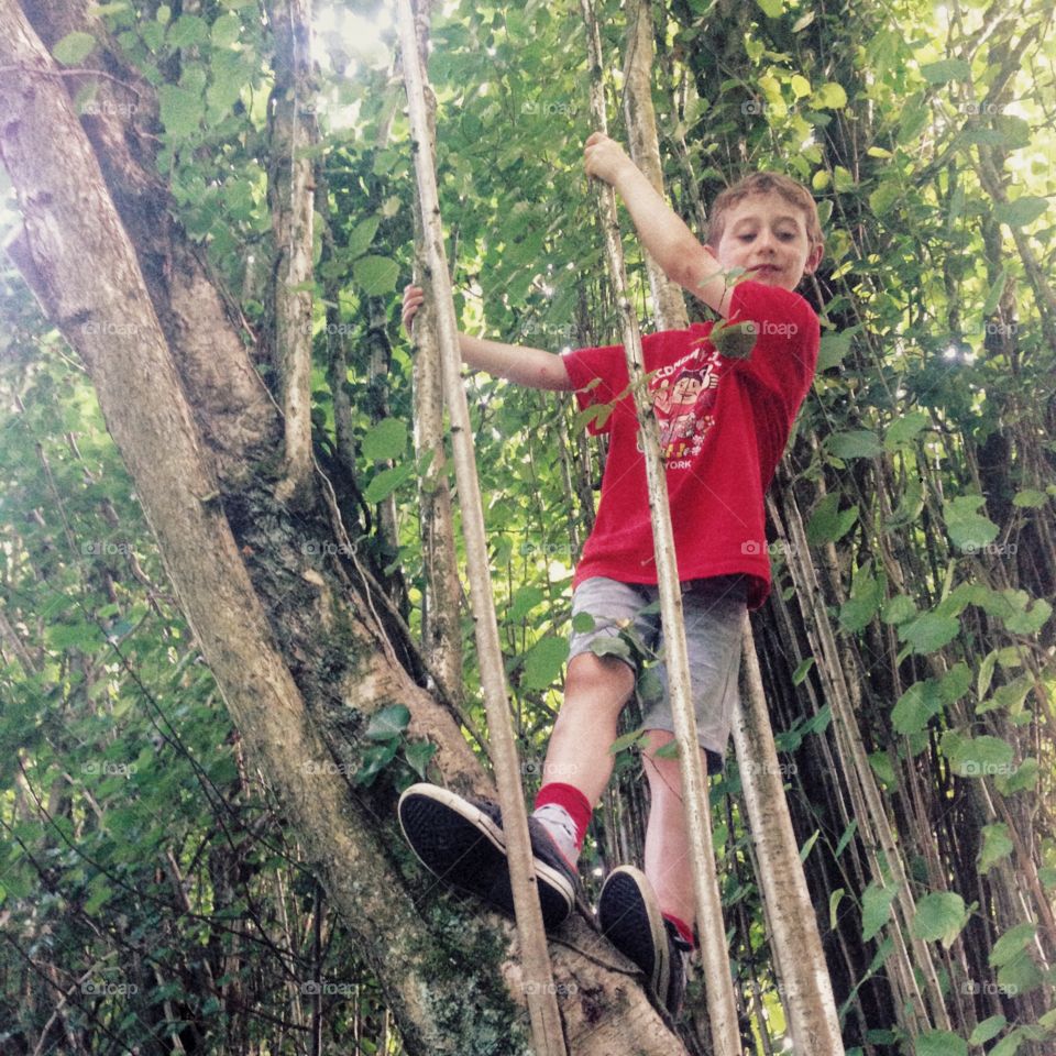 Seven year old boy climbing a tree