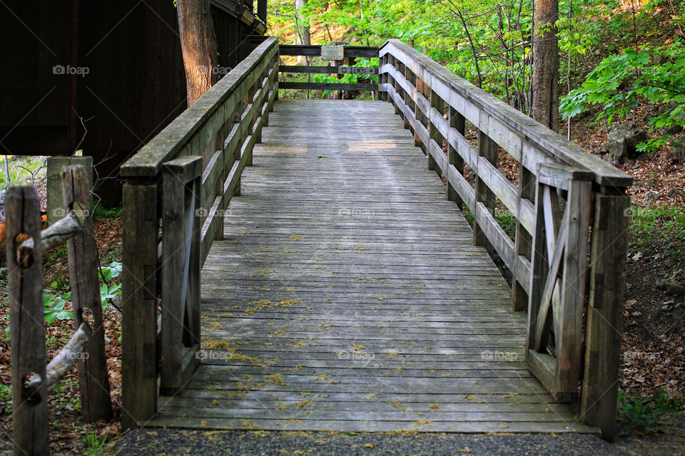 nature wooden ramp entrance by delvec