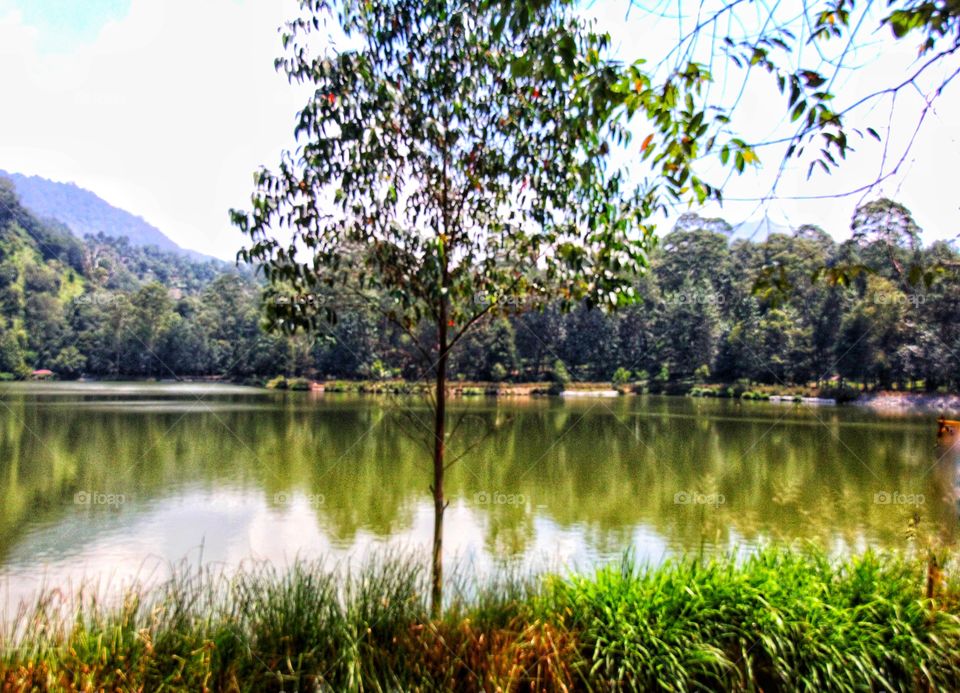 morning view in the Lake