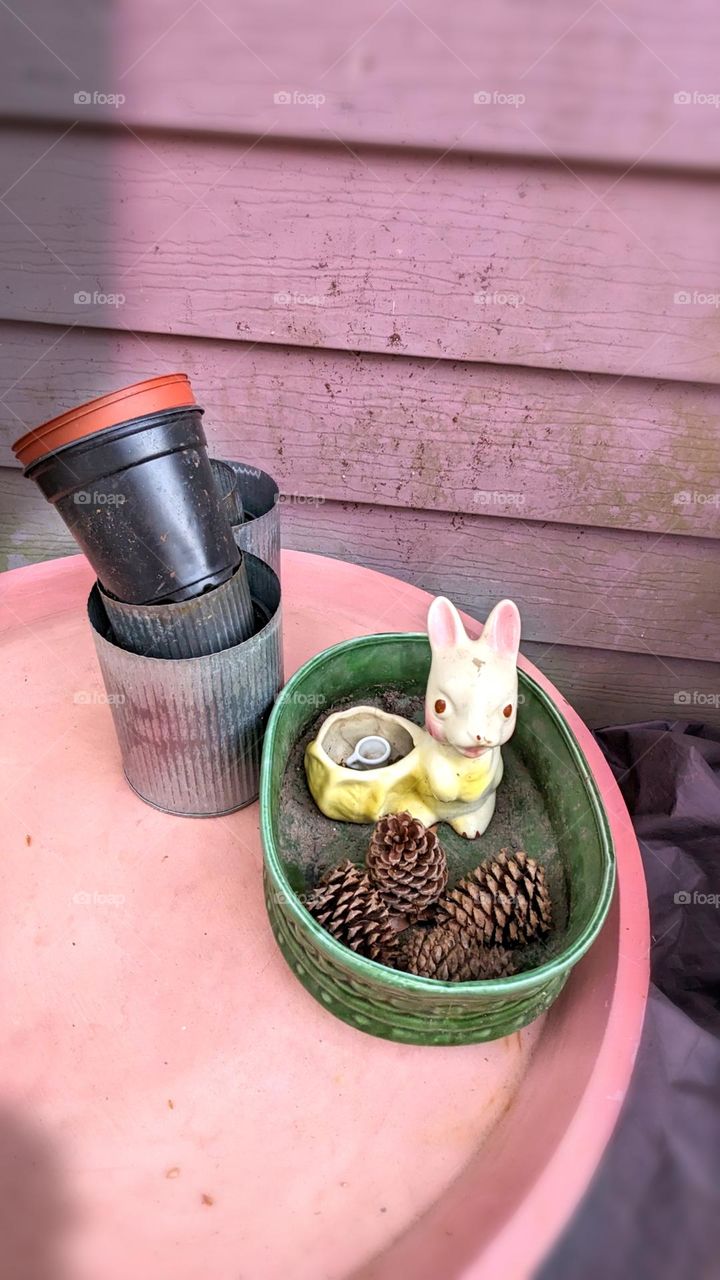 Rabbit with Pots
