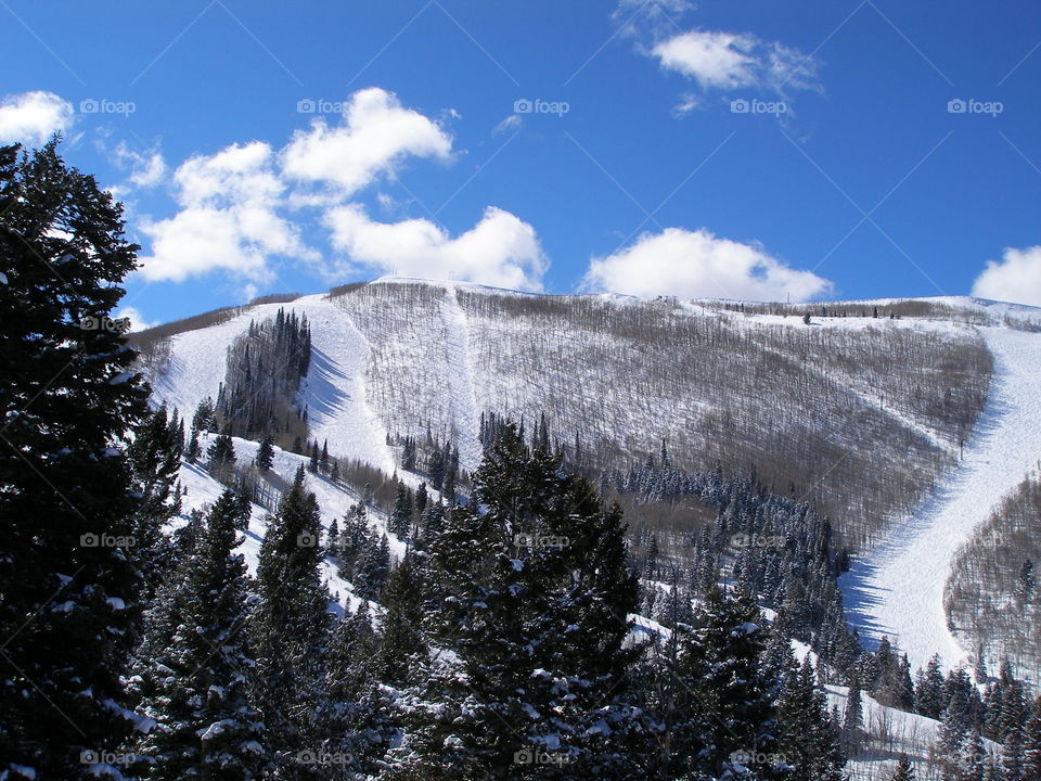 Winter Scene in the Mountains