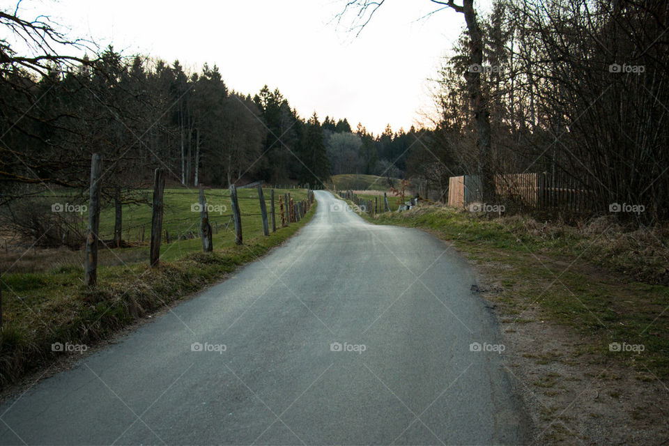 Country road