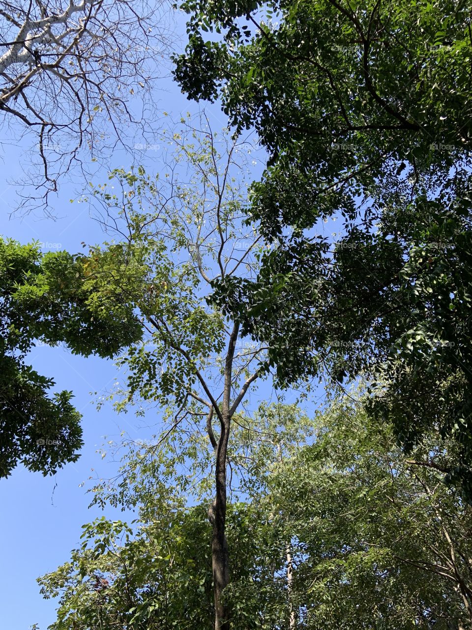 Best of 2021 : Nature ( Countryside, Thailand)