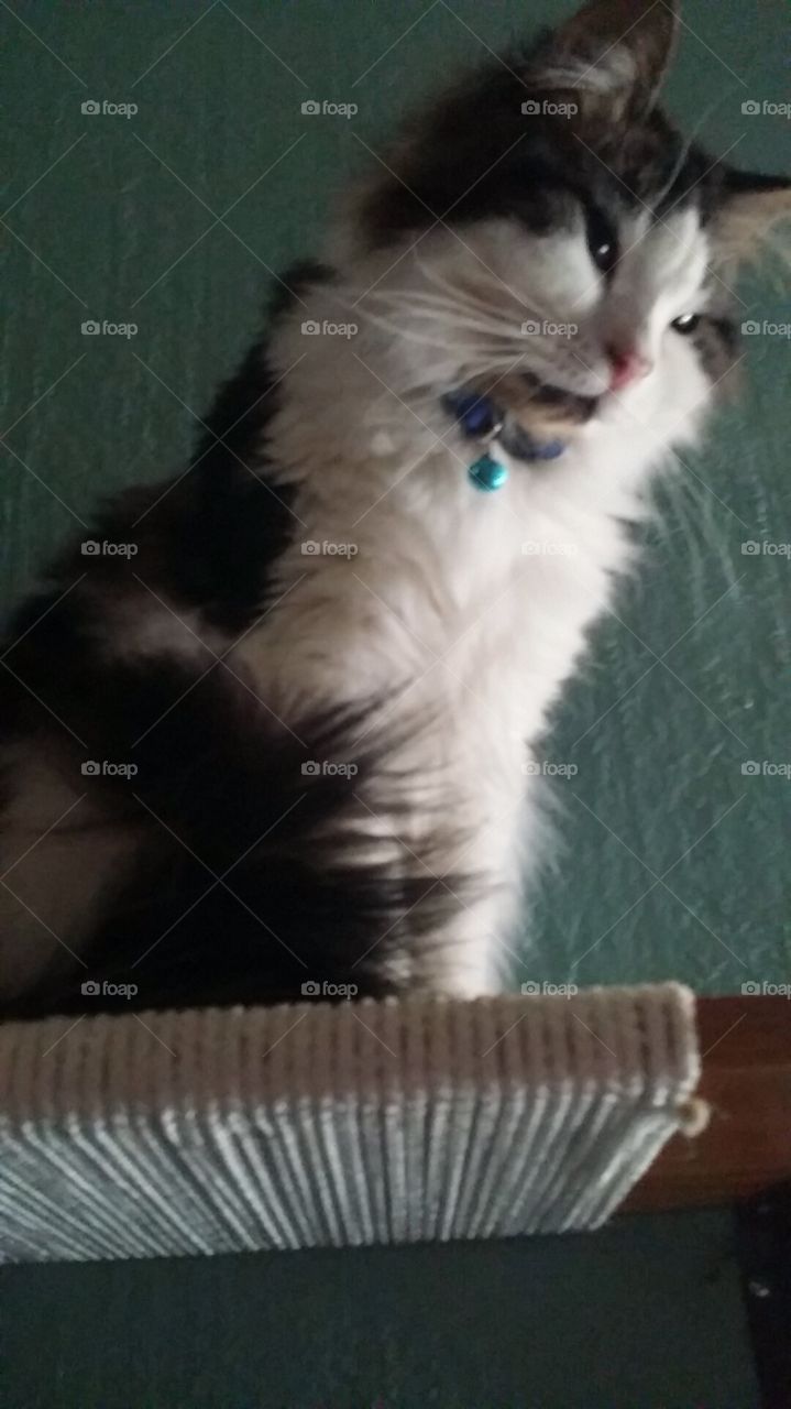 Everything about you is something special to me