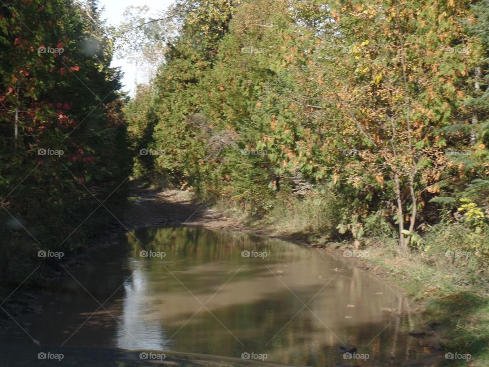 Drummond Island, Michigan 