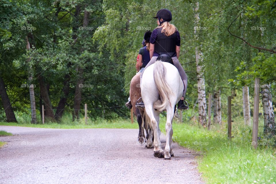 Summer with horses . Horse riding in the summer 