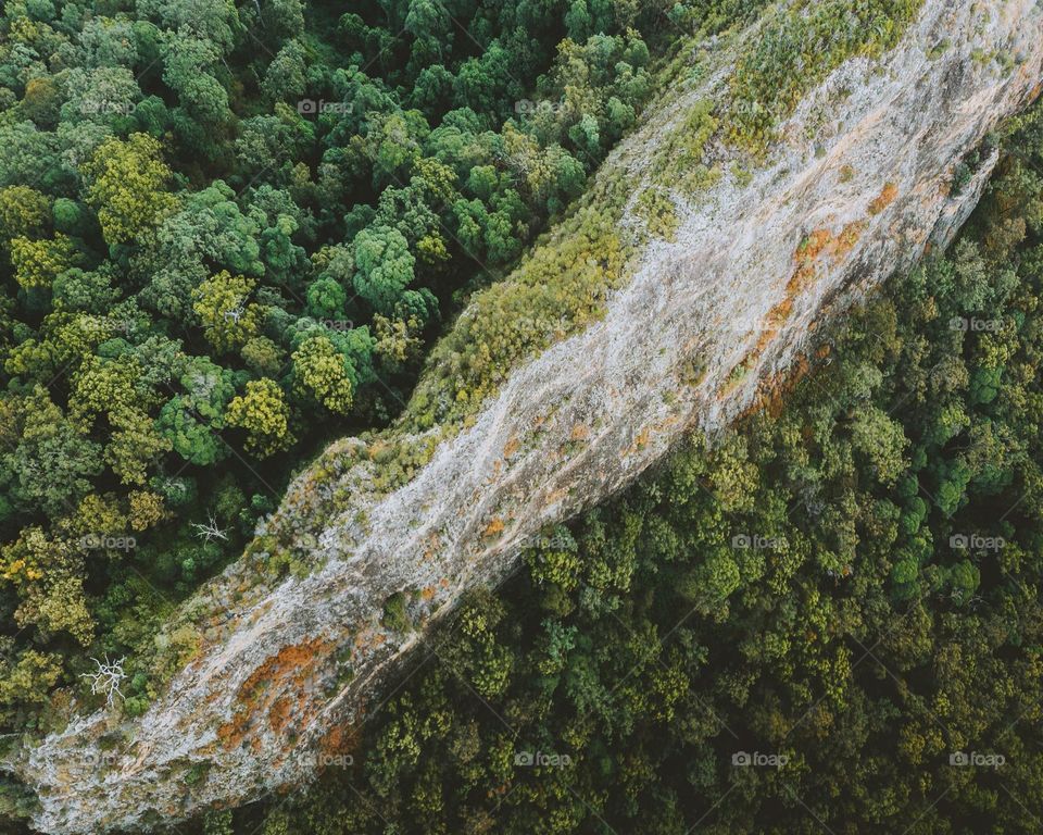 Fantastic👣👣爱上你🍂