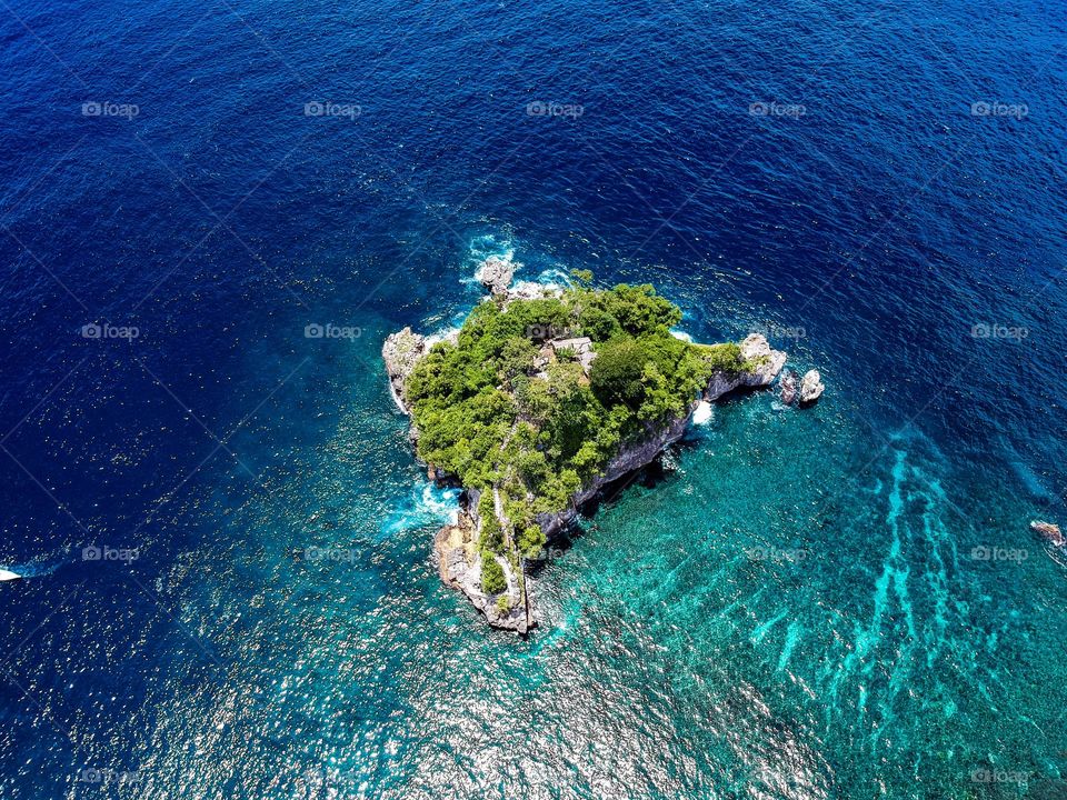 Lone island