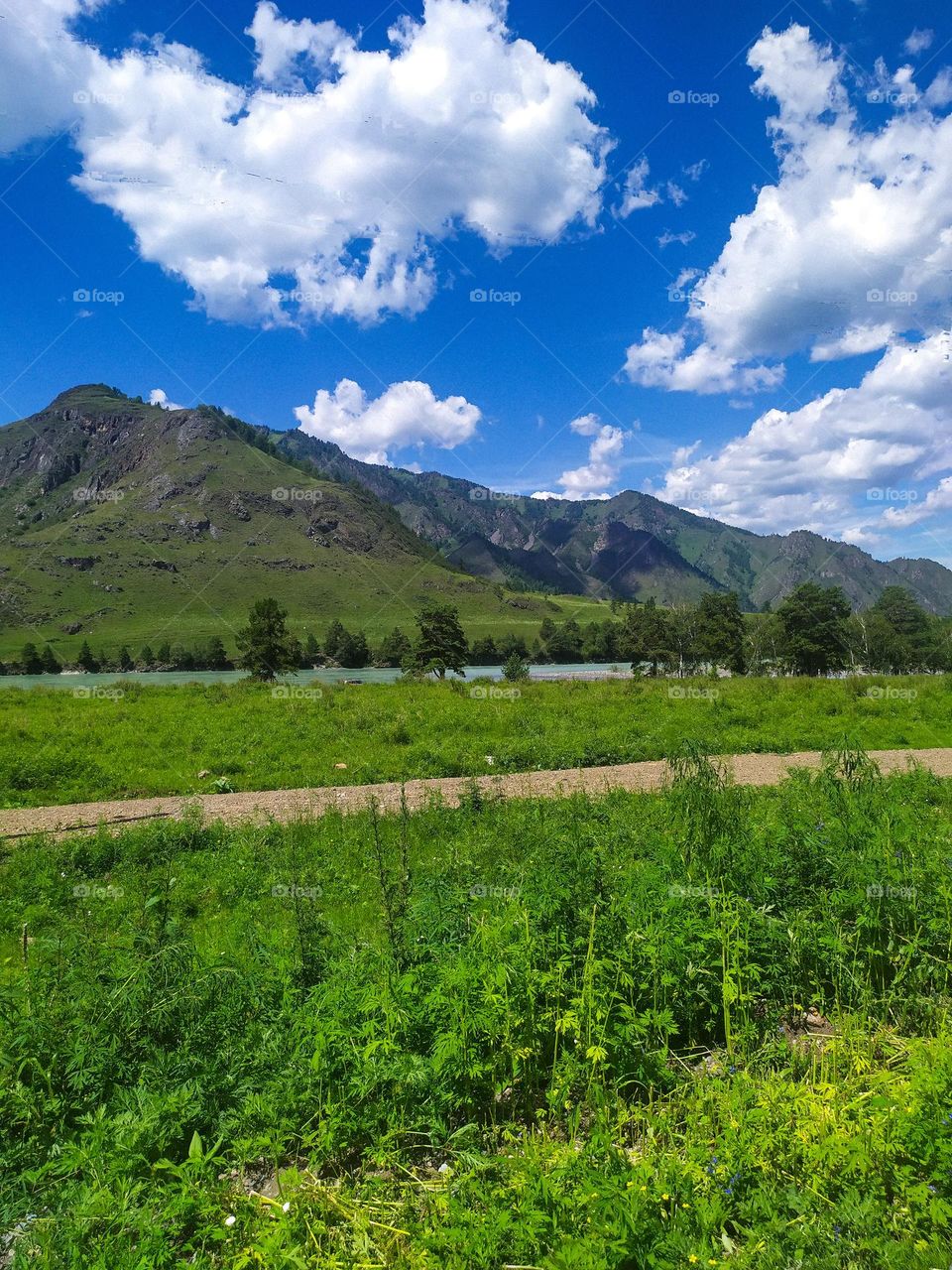 Altai landscape