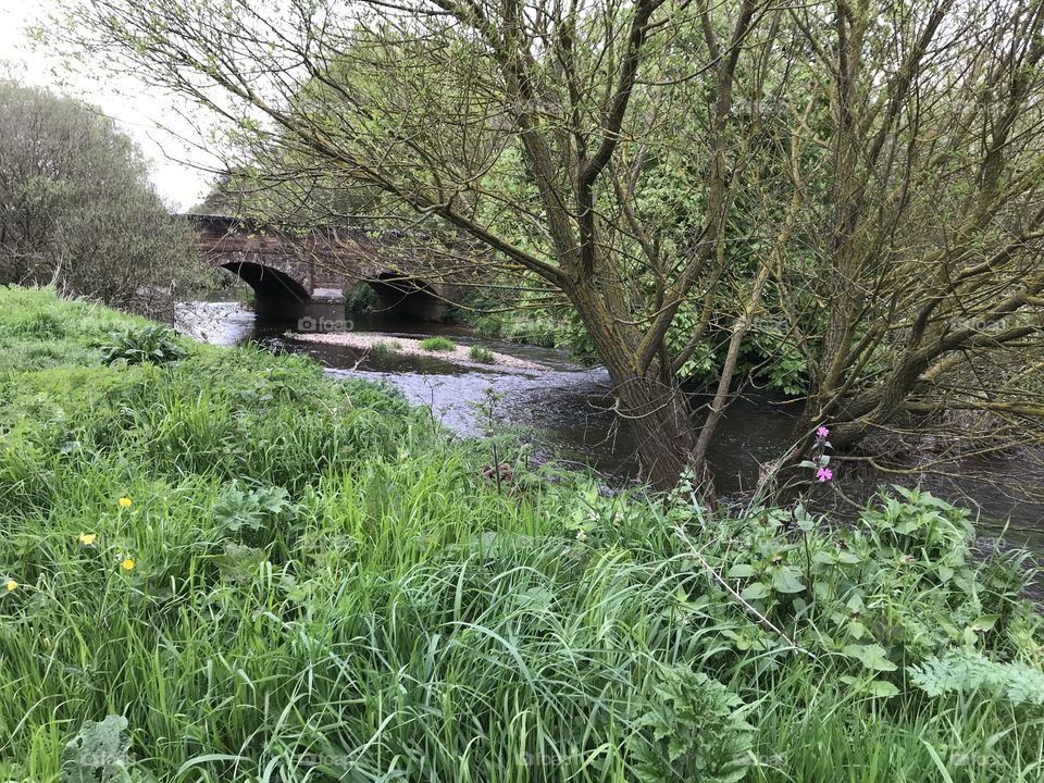 For those who enjoy a bit of piece and tranquility, one would say, “This is the life”