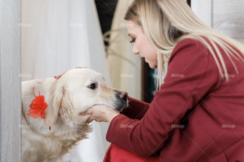 A sad white labrador lacks attention