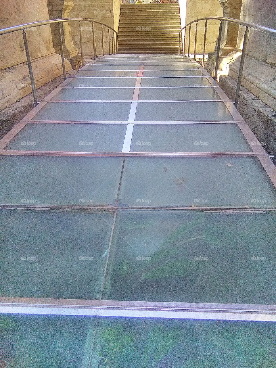 glassed bridge 2017