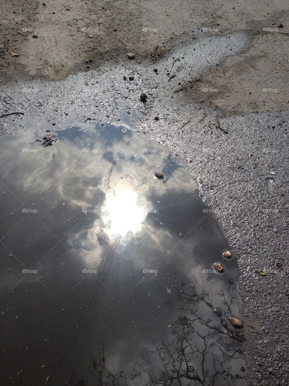 Reflections - looking at the sky