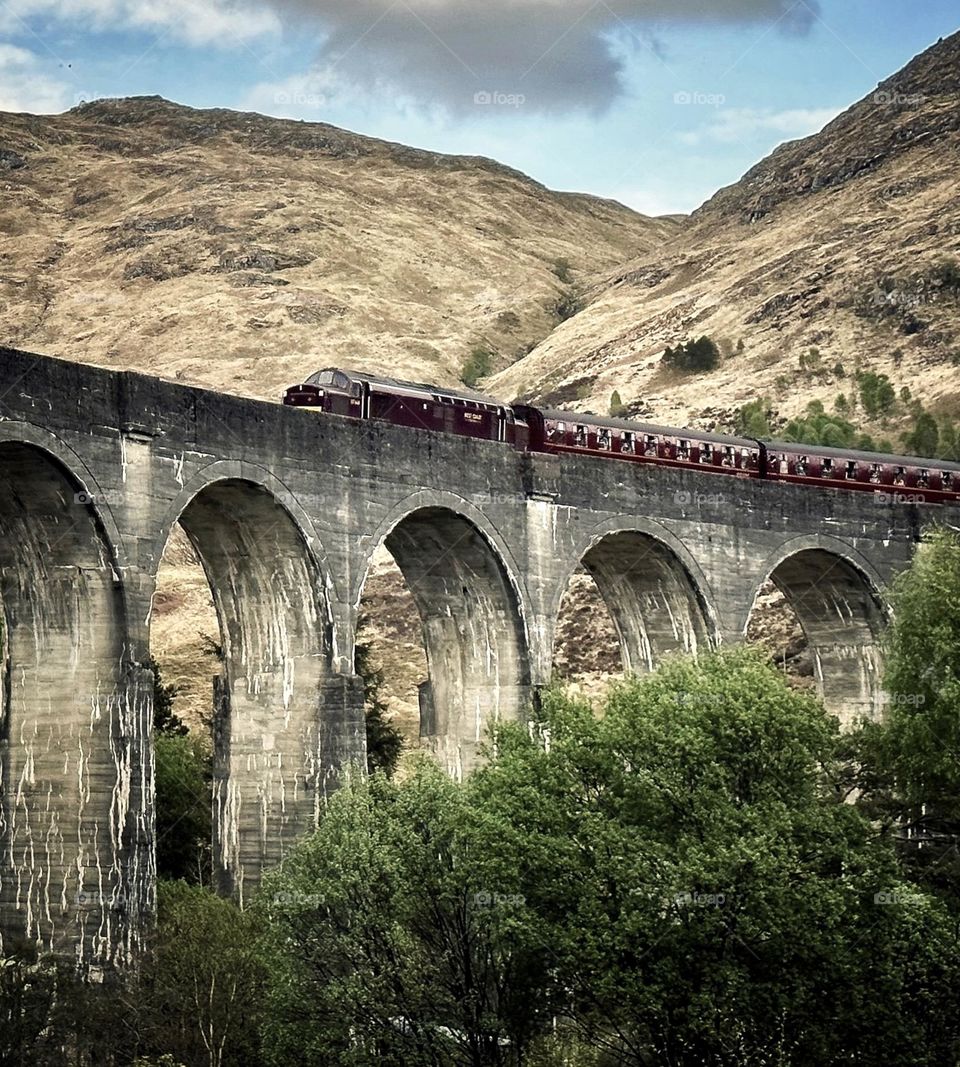 The Jacobite Steam Train