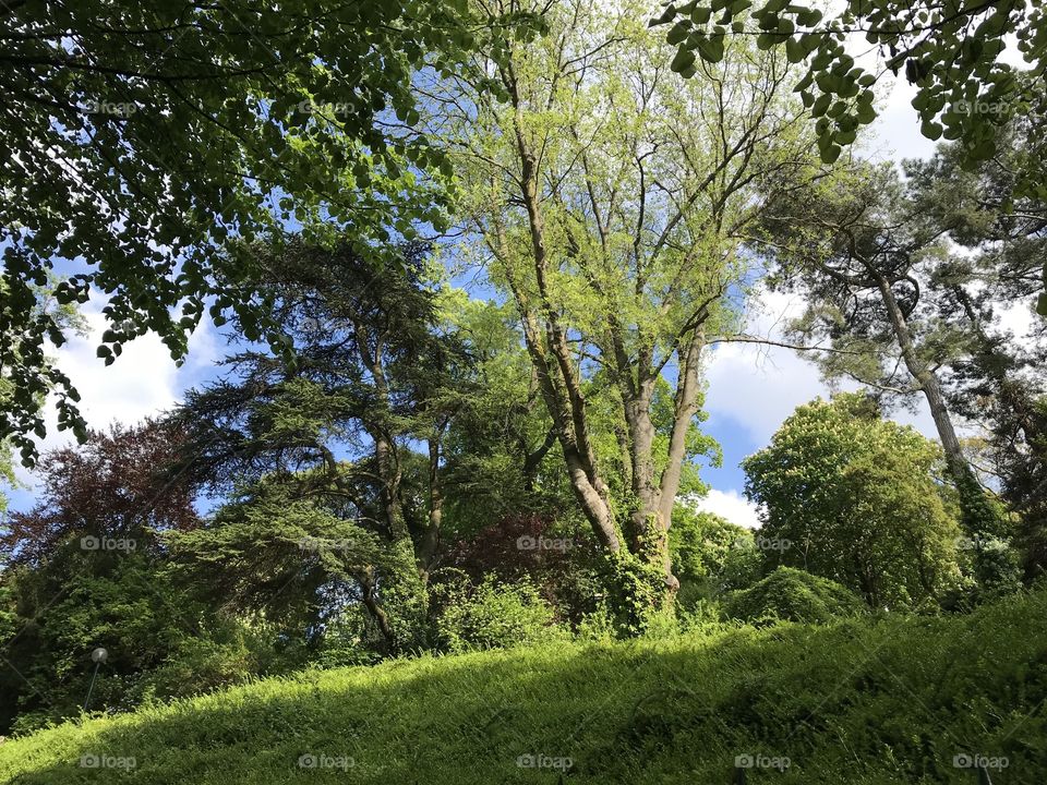 Green Paris