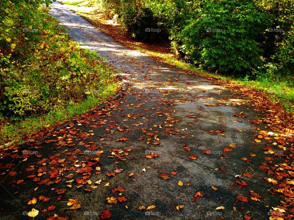 Mountain Road in the Fall