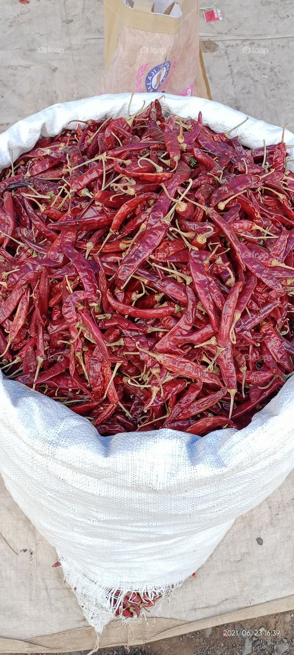 red chilli famous byadgi chilli spicy