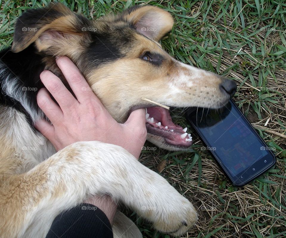 Magic Gaming Moments