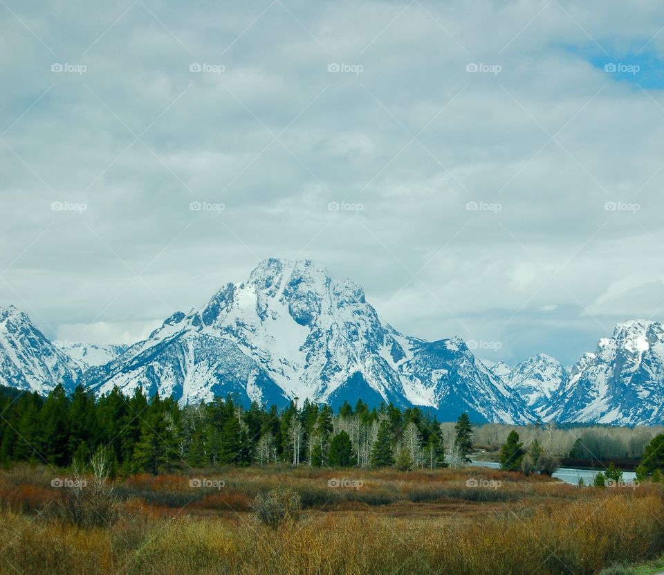 Mt. Moran View