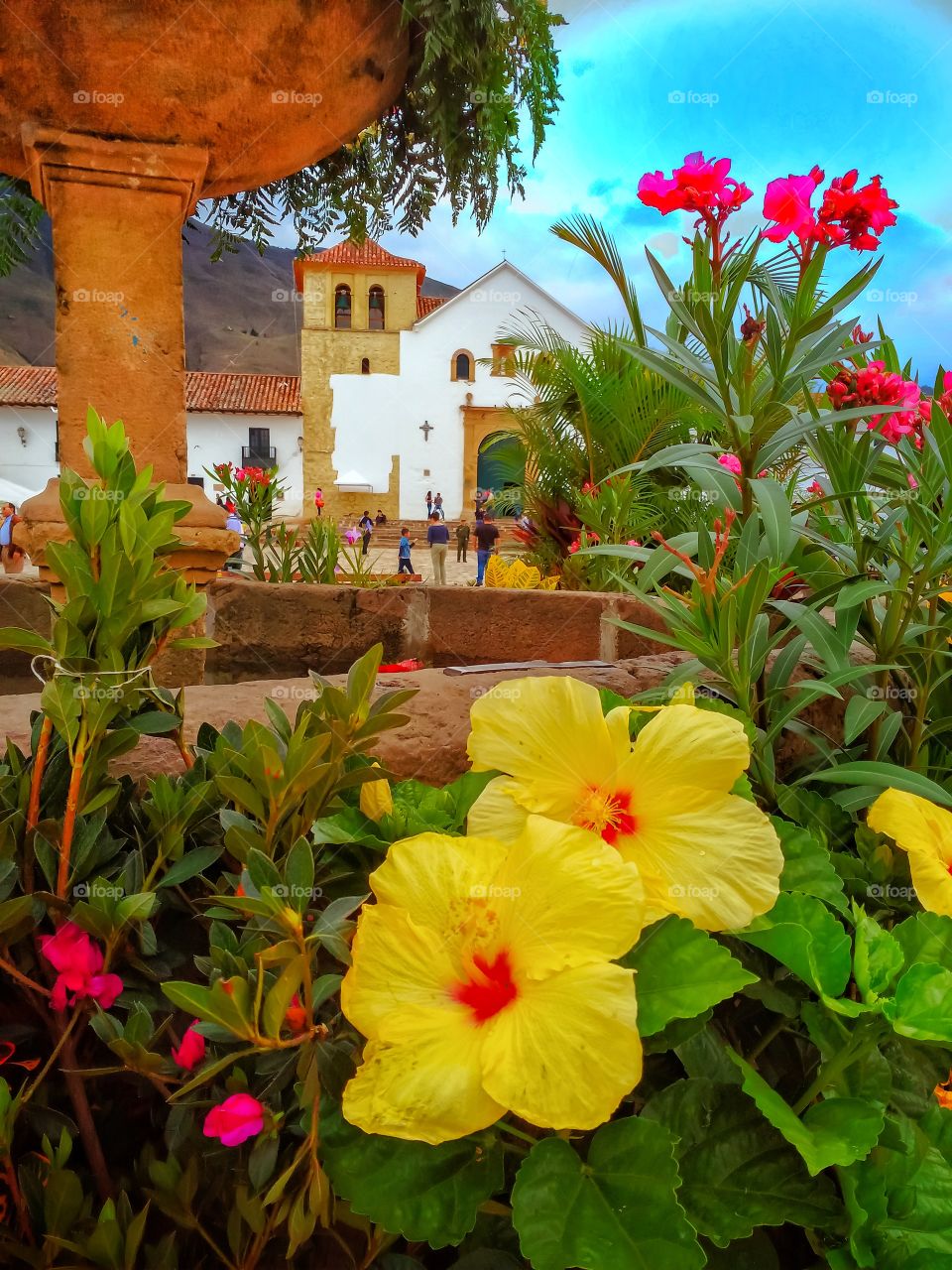 Flowers in the tree festival of Villa de Leyva Boyacá Colombia