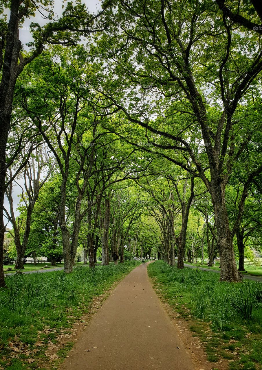 green path