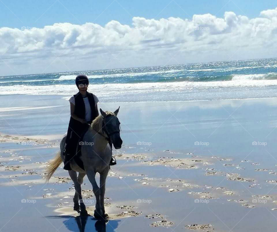A HORSE ON THE BEACH.