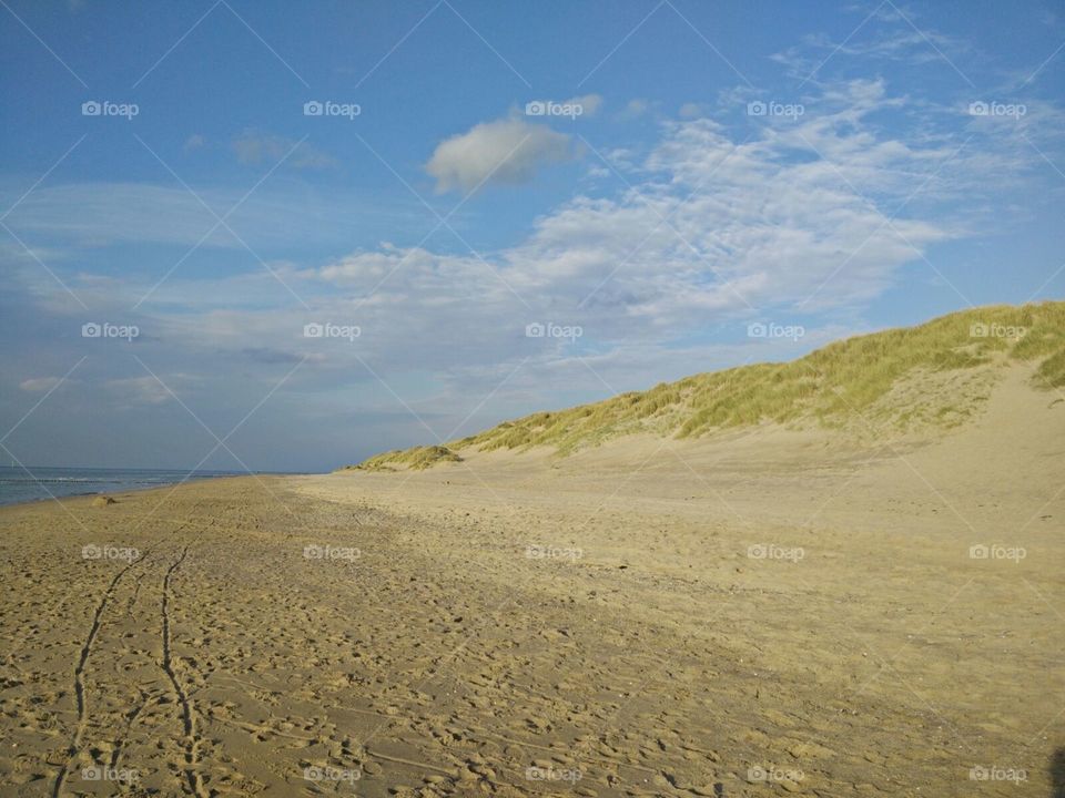 Beach and dunes in Holland
