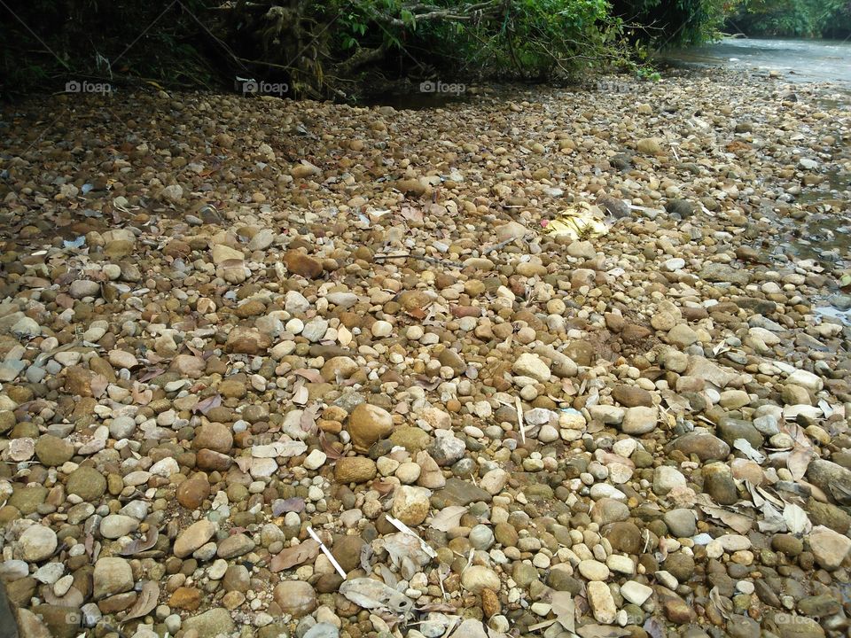 River bed