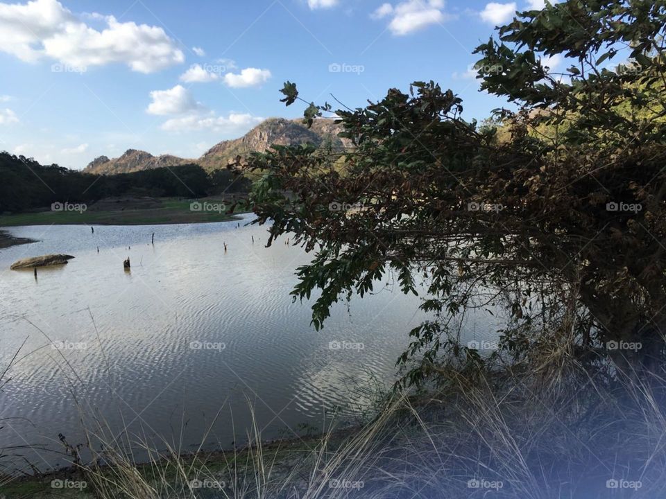 A Beautiful lake in countryside
