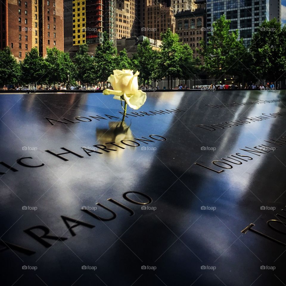 Rose on 9/11 Memorial