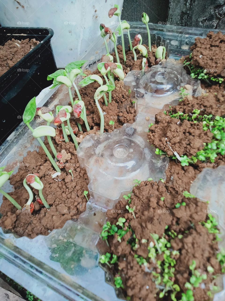 Earth Day is an annual event to demonstrate support for environmental protection and sustainable practices by this we learn to invest in our planet.