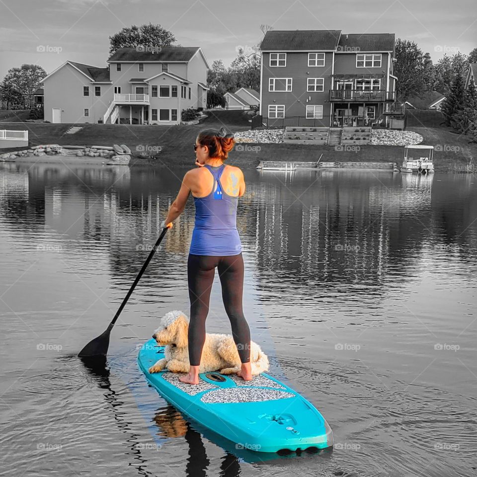 paddleboard with dog color splash