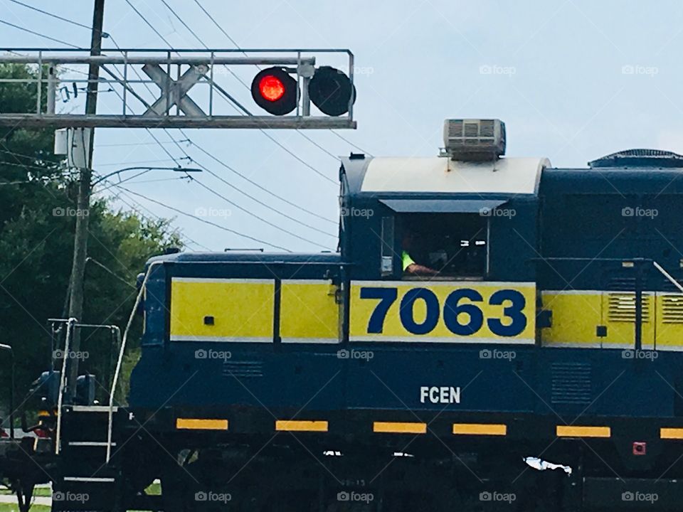 Train at a railroad crossing in Florida 