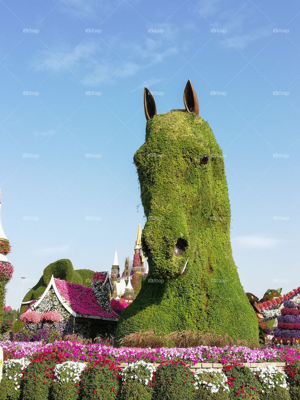 Horse and house made with flowers in the garden. Dubai