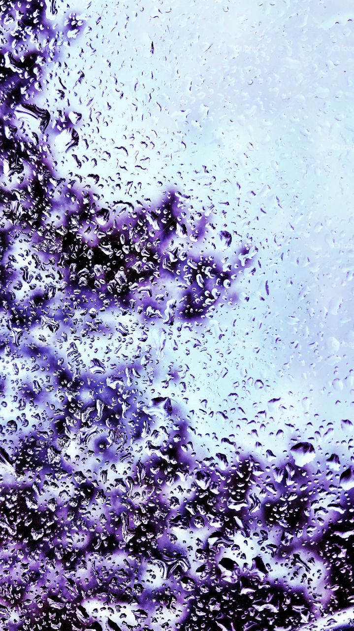 Purple rain drops splashed on a cold window. 
