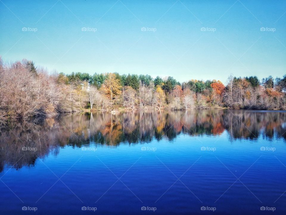 Mondo Pond in Milford, CT