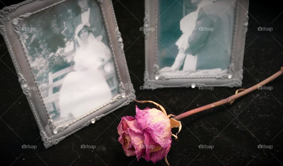 Precious Wedding day Memories, vintage like a dusty pink rose bud