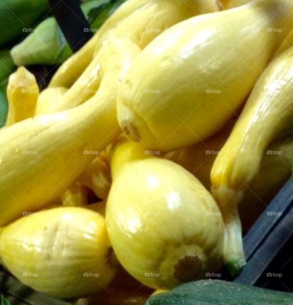 Yellow Squash