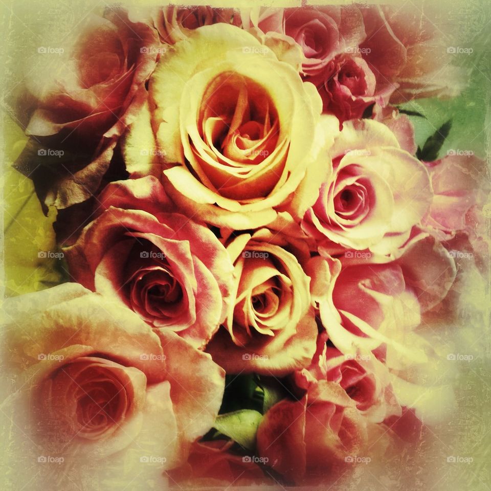 Bouquet of roses