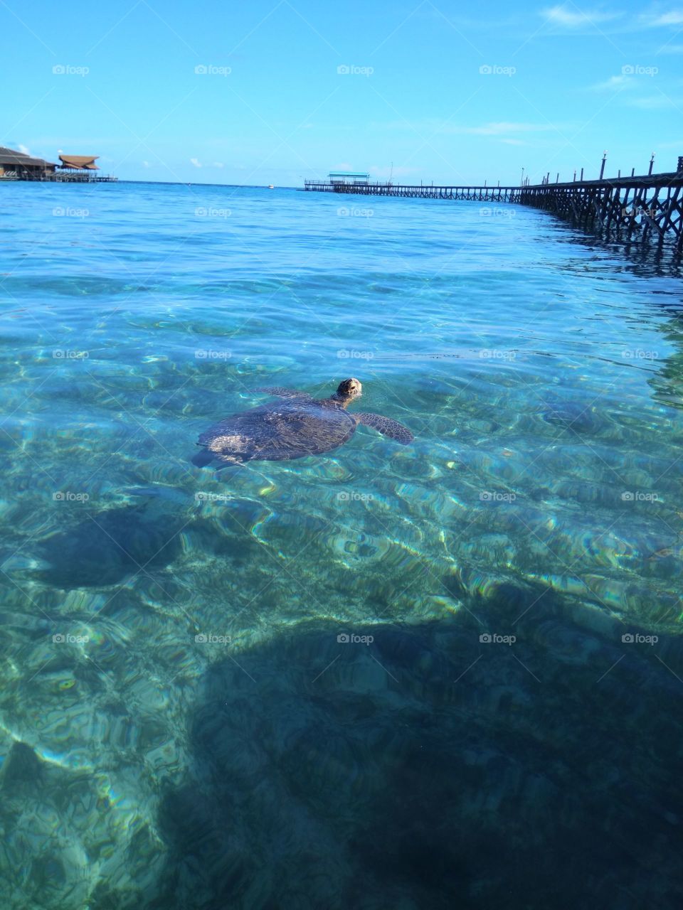 pulau derawan