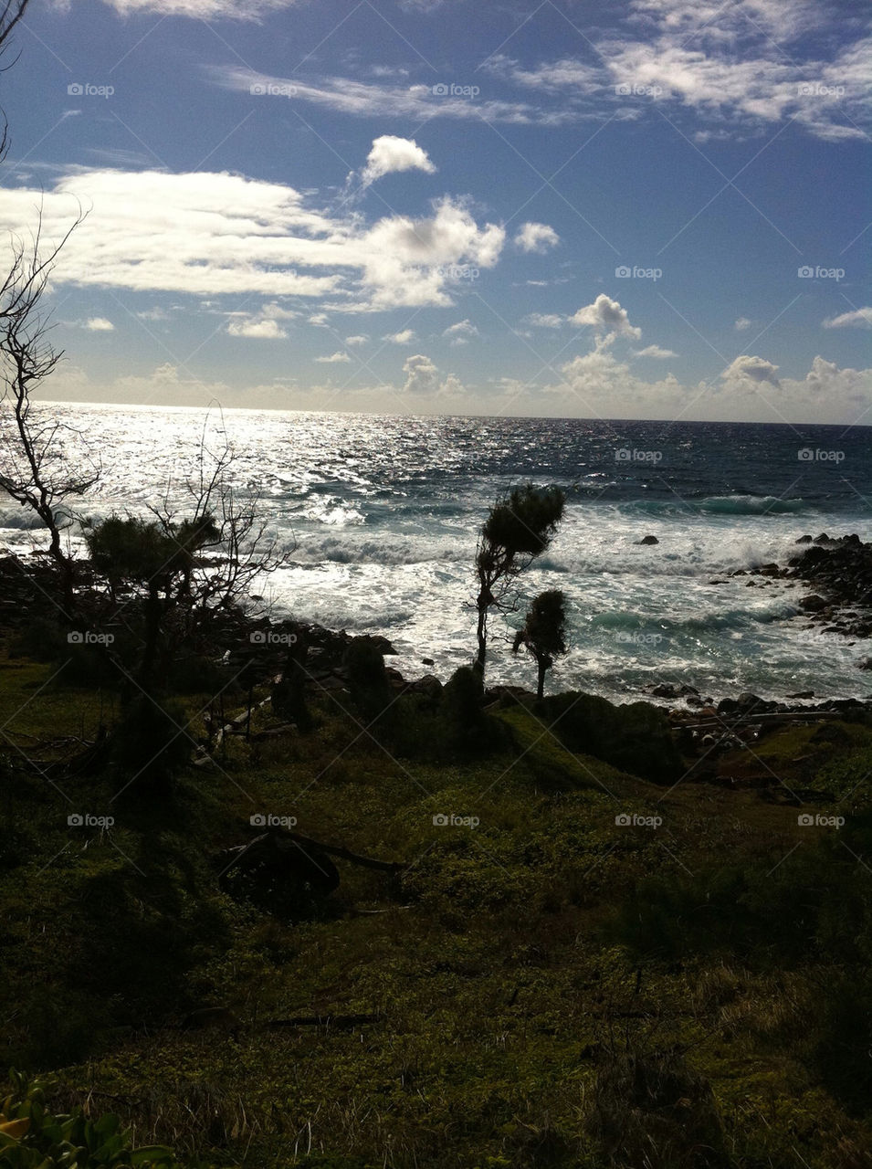 beach ocean sea united states by illusionfactory